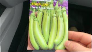 茄子生长最重要的四点，和种子快速发芽方法……