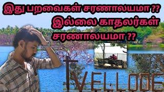 Vellode Bird Sanctuary in Erode l Moto vlog l #ttf #luf #birds # erode  @tn56motovlog25