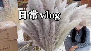 生活最好的状态就是人静 物简 心安。日常vlog 分享我的一日慢生活 小天鹅冰箱525