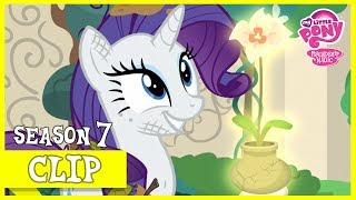 Rarity Retrieves Mistmane's Flower (Shadow Play) | MLP: FiM [HD]