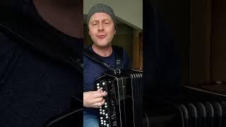 "Снегири" на баяне)) Трофим