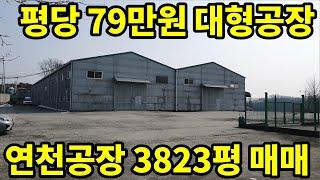 평당79만원 연천대형공장 3823평 매매 [파주탑부동산]