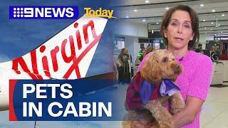 Virgin Airlines announces pets are allowed in cabin on flights | 9 News Australia