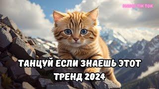 ТАНЦУЙ ЕСЛИ ЗНАЕШЬ ЭТОТ ТРЕНД 2024