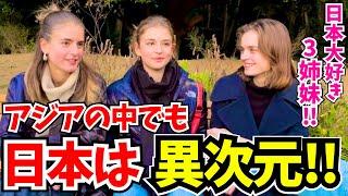 「正直日本はレベルが違うわ…」日本の四季や文化に感動する外国人に日本の印象や感動した体験を聞いてみた!!【外国人にインタビュー】【海外の反応】