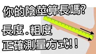 【性學小教室68】你的陰莖算大嗎？男生自己量長度都會灌水！？長度粗度怎麼量！？｜陰莖測量正確方式！