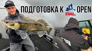 Тренировка перед PAL Open 2024 | Ловля судака на Иваньковском водохранилище - ПЕЛАГИКА и не только