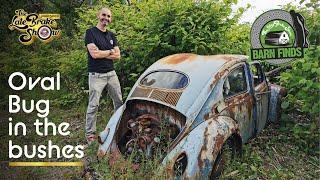 30yrs in a field! Classic Volkswagen Oval Beetle  Barn Find rescue mission