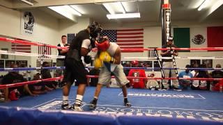 Mayweather Boxing Club (AKA The Doghouse) sparring w/ Memphis Miller