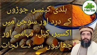 Health Benefits of Turmeric Urdu/Hindi | Haldi ke fayde | Hakeem Zia ur Rehman