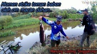 Casting Toman Babon Sungai Tenggarong - Vlog #8 (Fishing Snakehead Kukar)