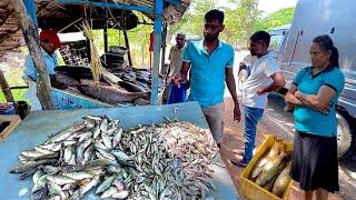 Wow!! Island Village Street's Best Fishmarket Excellent Fish Cutting Sri Lanka