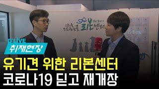 [현장연결] 유기견 위한 '리본'센터…코로나19 딛고 재개장