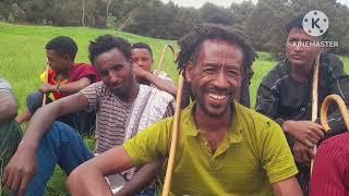 ጥዑም ጉማየ ድገርም ጨዋታ ምስ ቖልዑ ፅበት