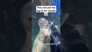 This seal put my leg in her mouth