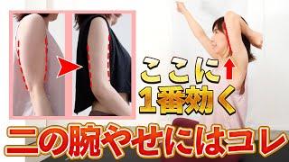 【二の腕やせ】ダイエット成功したいならこれ！隙間時間の6分を1週間してみて本当に効いてみるみる変化