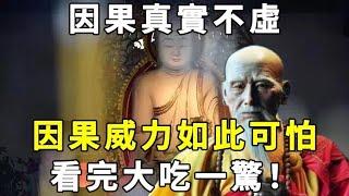 [洞見禪心] 因果真實不虛, 因果的威力到底有多可怕?  看完大吃一驚！ #洞見禪心 #佛禪 #佛門因果 #佛學 #禪