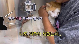 다 가져 가야만 했냐… 대구리좀 살게 해 줘라~