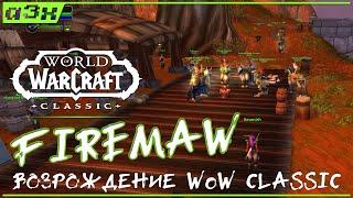 WoW Classic. Firemaw EU - живой официальный сервер классики.