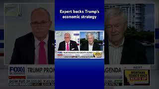 Trump will create a ‘dramatic burst of prosperity’ to America: Gingrich #shorts