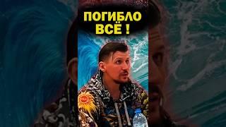 Все деревья 19 века были уничтожены. Мировой потоп #крамола #потоп #катастрофы #деревья #сундаков
