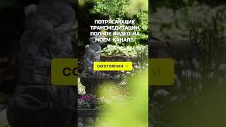 БЕЗМЯТЕЖНЫЙ УМ