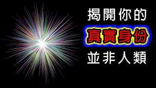 一張圖知道你意識的層次?(迅速突破時空,輪迴,維度,習慣,信念的限制)【鑫的視角】