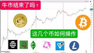 比特币到顶了吗？牛市结束了吗？狗狗币 DOGE 最新预测 。PI快点卖，LTC、TON、UNI、APT、ETC、PEPE、TRUMP提前埋伏，ETH升级带动山寨币季节爆发！狗狗币还能继续持有吗？