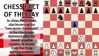 Checkmate In 16 Moves