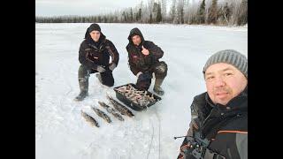 Вот и первые окуньки этого сезона. Подлёдная рыбалка на окуня.