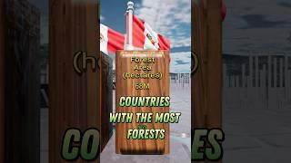 Top Countries with Most Forests: Nature's Bounty Revealed