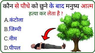 Gk Questions | Gk In Hindi | Intresting Gk Questions | Gk Study | Pradeep gk study