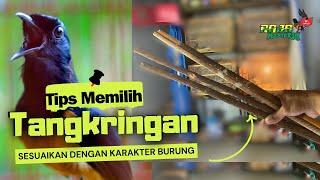 MEMILIH TANGKRINGAN SESUAI DENGAN KARAKTER MURAI BATU ‼️