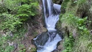 Rund um den Trefflingfall - Naturpark Ötscher Tormäuer