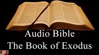 The Book of Exodus - NIV Audio Holy Bible - High Quality and Best Speed - Book 2 - The Two Preachers