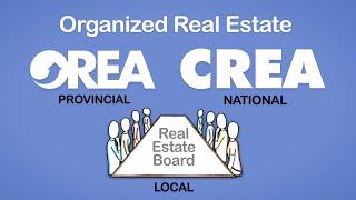 How Real Estate is Structured in Ontario