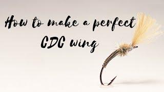 How to make a perfect CDC wing - fly tying