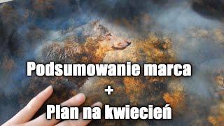 Podsumowanie marca i co planuję na kwiecień?