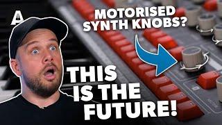 A Synth with Motorised Knobs!? - Melbourne Delia