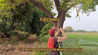 # 107 Бедные, но не голодные.Чему учит Африка?