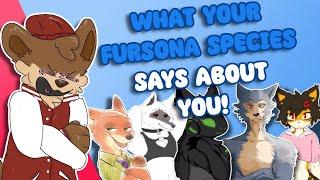 What Your FURSONA'S SPECIES Says About You...