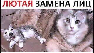 Лютые приколы. Угарная замена лиц