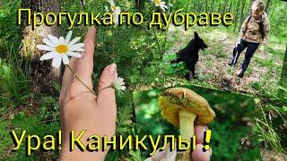 Влоги с ЮГА  Ура! Каникулы 🪅 Для детей " Медовый пух" Прогулка по дубраве