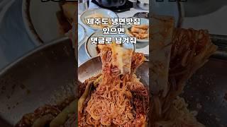 제주도 냉면맛집 있으면 댓글로 남겨줘