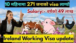 ireland working visa for nepali | how to apply ireland work visa from nepal | ireland kasari jane