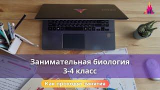 Занимательная биология 3-4 класс - онлайн-кружок / Видео занятия