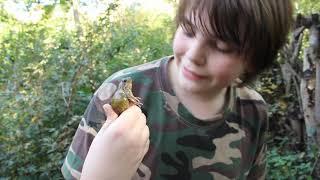 Herping For Critters In An Ecological Park