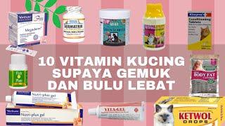 Rekomendasi 10 Vitamin Kucing Supaya Gemuk Dan Bulu Lebat