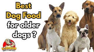 Best Dog Food for Older Dogs : Senior Nutrition Focus