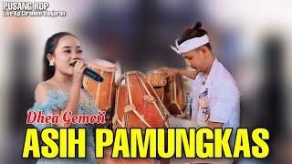 ASIH PAMUNGKAS ( D'RIZAL LINEUK ) - DHEA GEMOII | PUSANG ROP LIVE BANJARAN